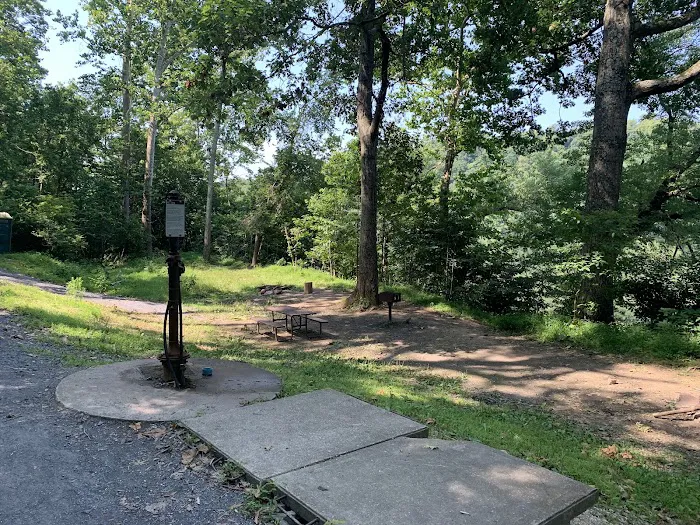 Huckleberry Hill Hiker Biker Campsite 8