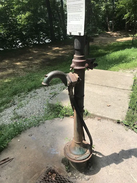 Huckleberry Hill Hiker Biker Campsite 3