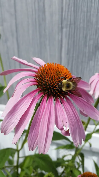 Oakhill Mobile Home Park 7