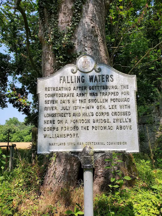 Big Woods Campsite 2