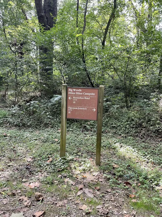 Big Woods Campsite 8