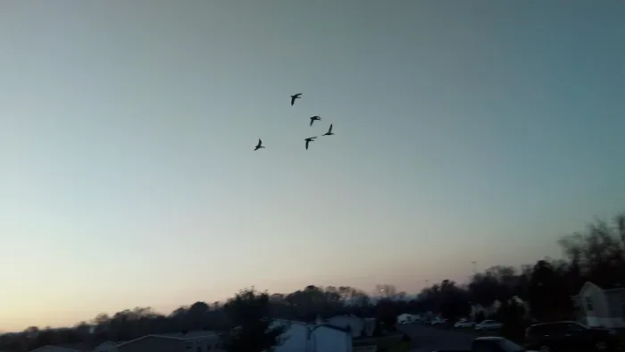 Lakeside Village in Hagerstown 1