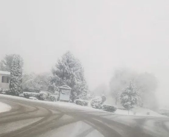 Chesapeake Mobile Homes