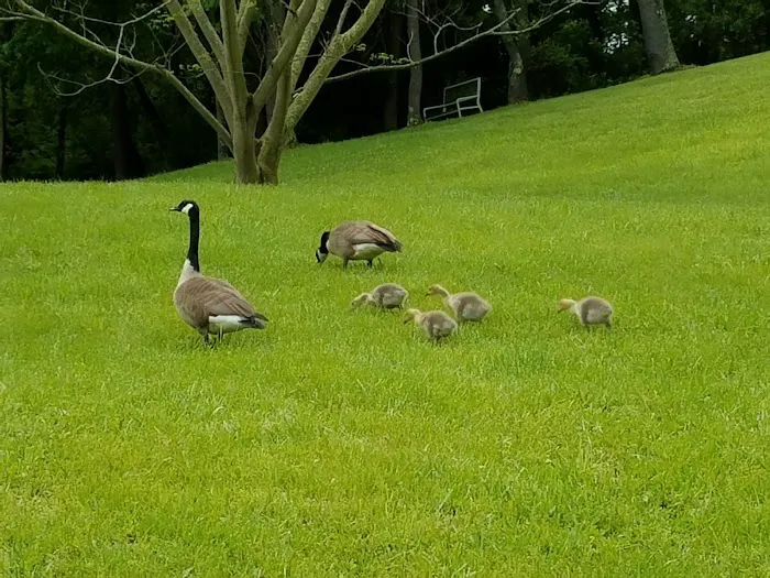 Chesapeake Mobile Homes 2