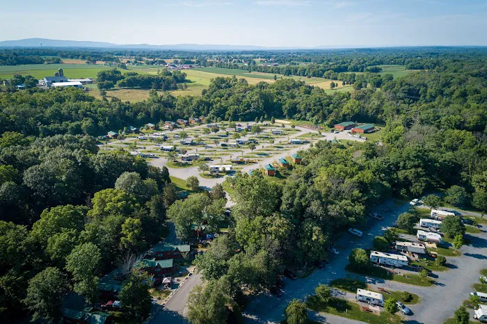 Jellystone Park™ Williamsport 4