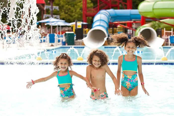 Jellystone Park™ Williamsport 3