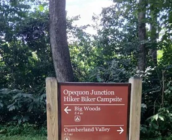 Opequon Junction Campsite