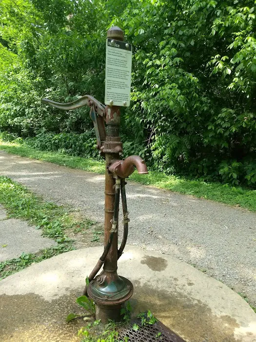 Opequon Junction Campsite 4