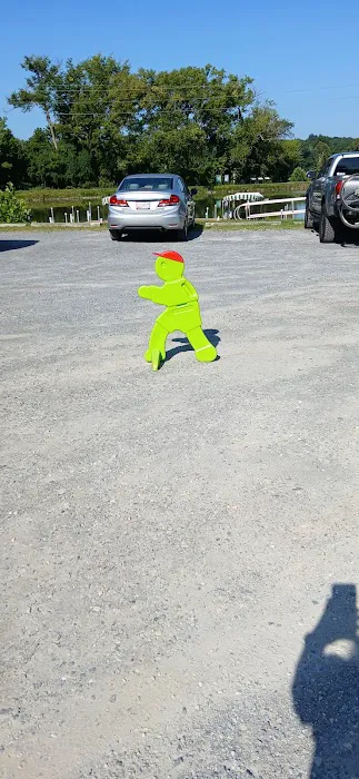 Opequon Junction Campsite 5