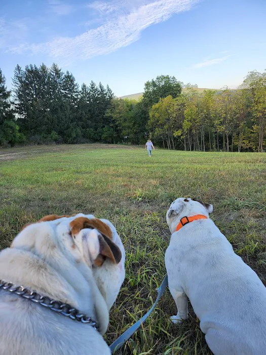Wright’s Orchard Station Campground 0