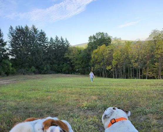 Wright’s Orchard Station Campground
