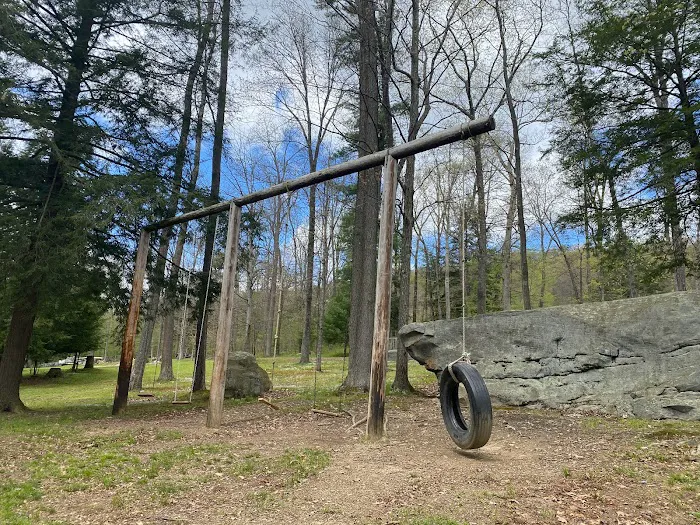 Chess Falls Campground 8