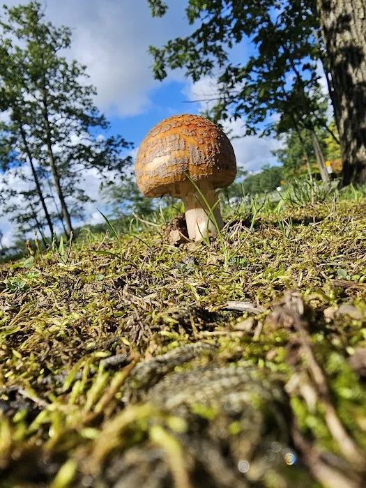 DuBois/Treasure Lake KOA Holiday 9