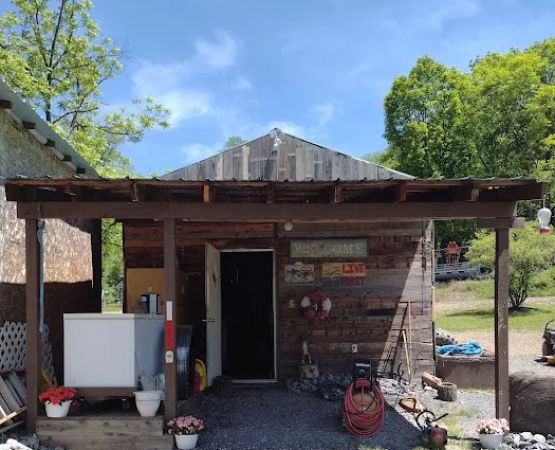 Rough and ready campground and live bait