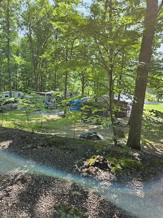 Shy Beaver RV Park 9