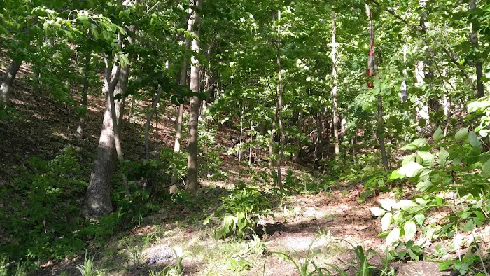 Conesus Lake Campsite 0