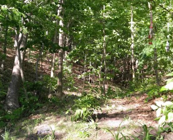 Conesus Lake Campsite