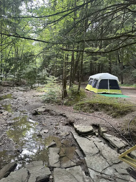 Evergreen Trails Campgrounds 3