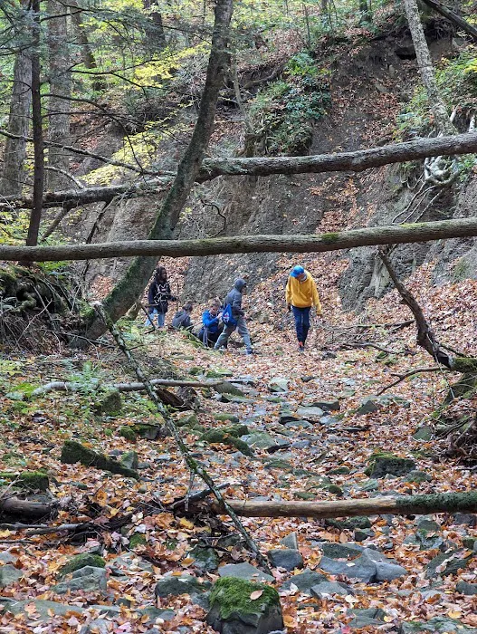 Evergreen Trails Campgrounds 0