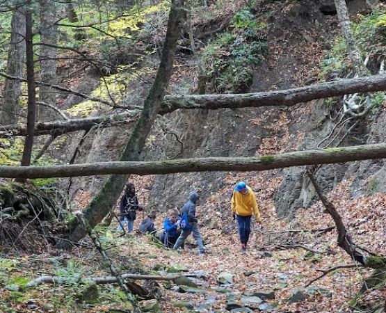 Evergreen Trails Campgrounds