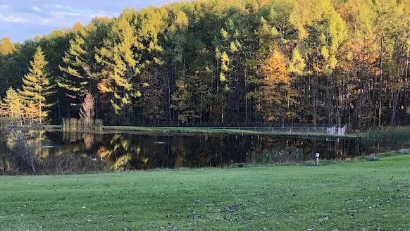 Houghton / Letchworth KOA 4