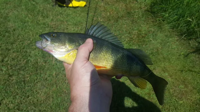 Houghton / Letchworth KOA 5