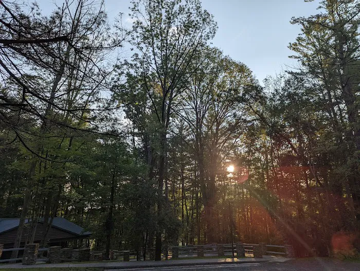 Letchworth D Cabins 8