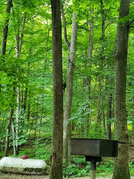 Letchworth D Cabins 7