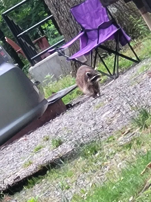 Letchworth State Park D Cabins 4