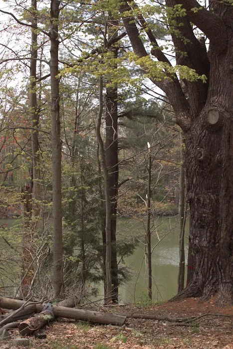 Letchworth Valley Campground & Resort, LLC 6