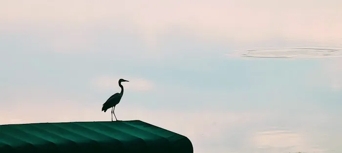 Gramalakes House 🩵⛵️ 0