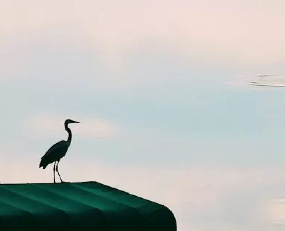 Gramalakes House 🩵⛵️