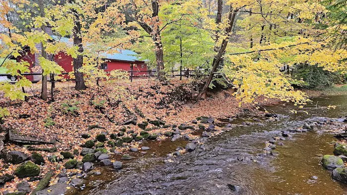 Woodstream Campsite 0