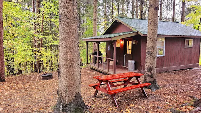 Woodstream Campsite 8