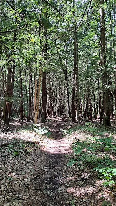 Handsome Lake Campground 2