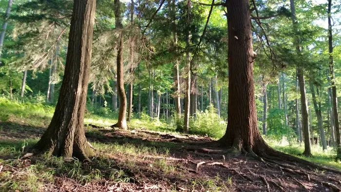 Handsome Lake Campground 0