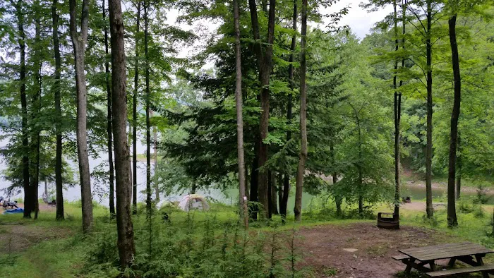 Handsome Lake Campground 5