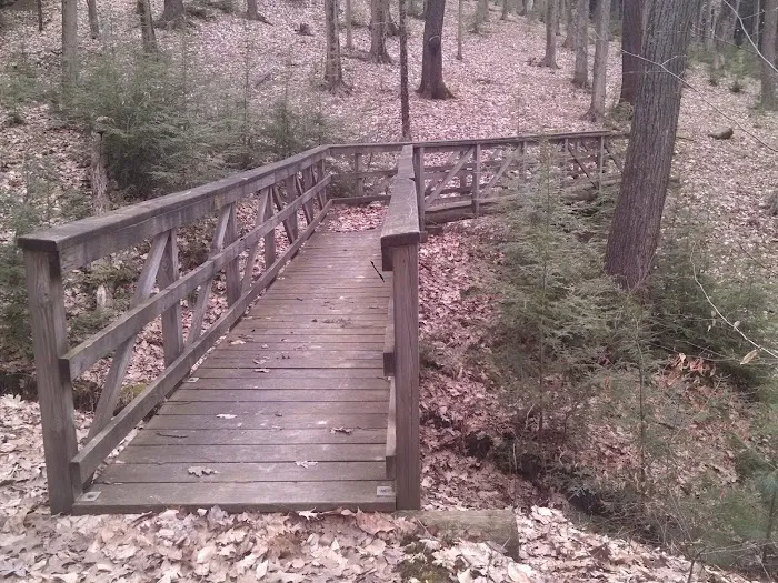 Handsome Lake Campground 6