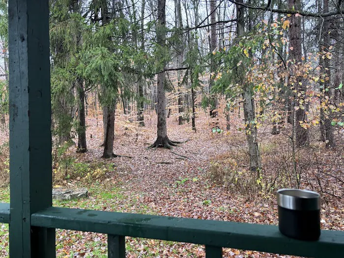 Diehl Cabins/Campsites, Allegany State Park 0