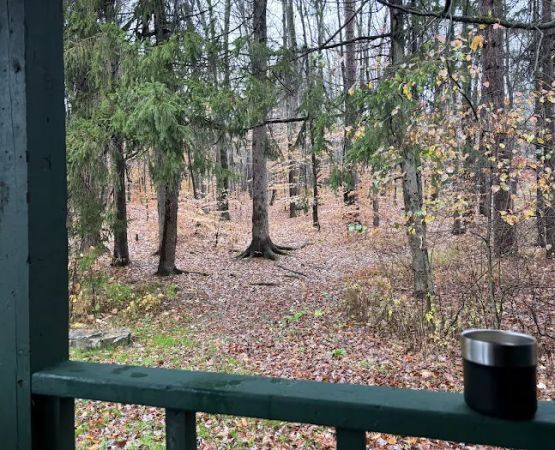 Diehl Cabins/Campsites, Allegany State Park