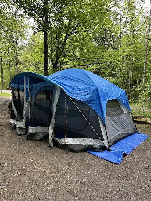 Allegany State Park - Redhouse Loop Campground 4