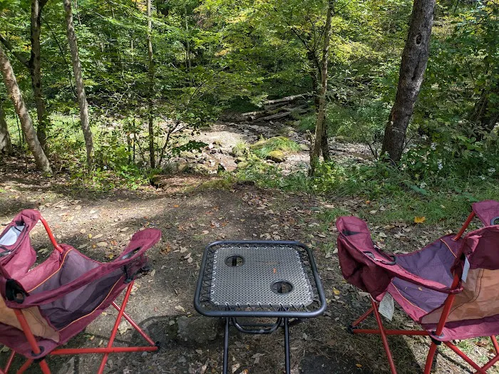 Allegany State Park - Redhouse Loop Campground 8