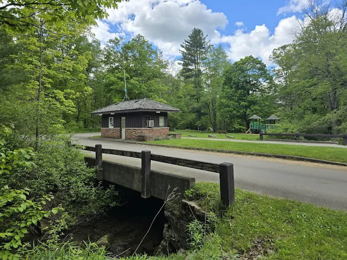 Allegany State Park - Redhouse Loop Campground 3