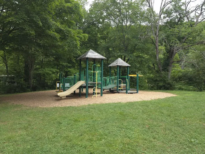 Allegany State Park - Redhouse Loop Campground 9