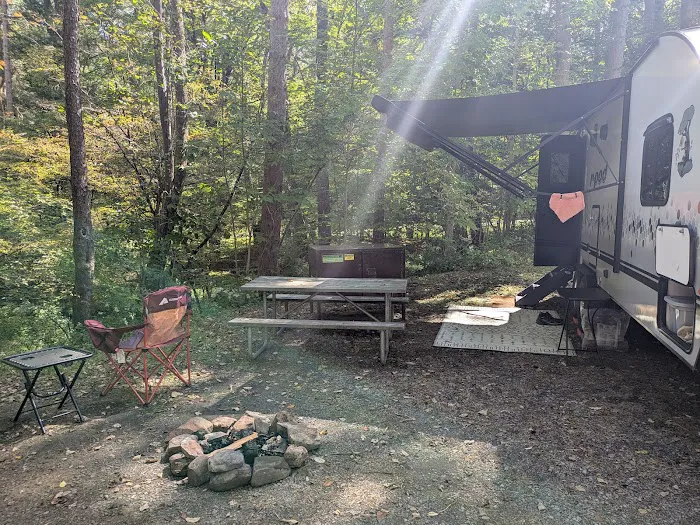 Allegany State Park - Redhouse Loop Campground 1