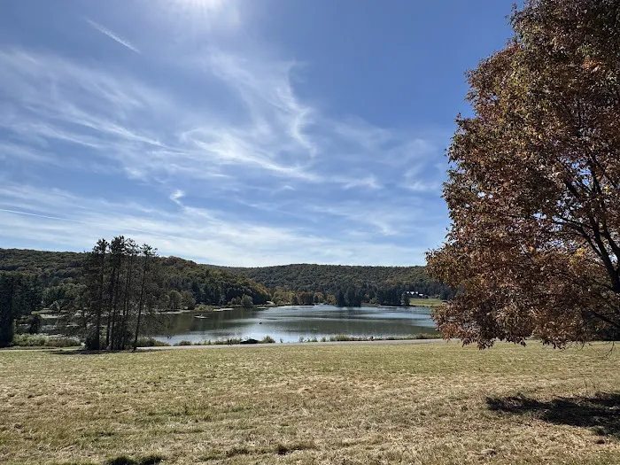Allegany State Park - Redhouse Loop Campground 5