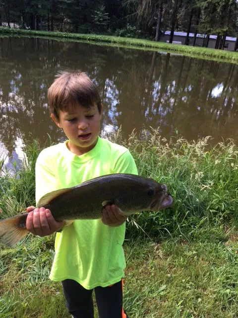 Shamrock Pines Campground 4