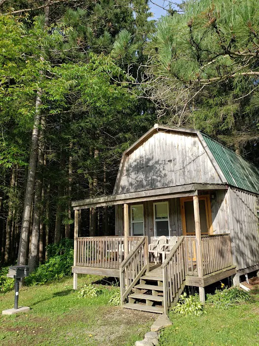 Shamrock Pines Campground 1