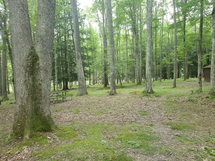 Hooks Brook Campground 7