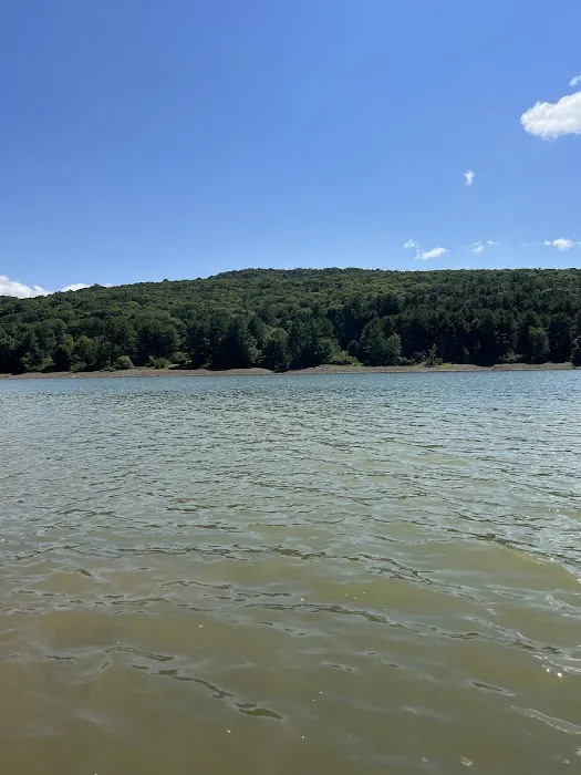 Allegheny National Forest - Camping & Cabins 2